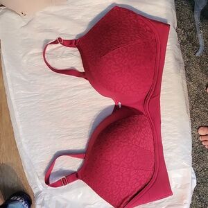 Torrid Red Wirelesd bra size 42DDD